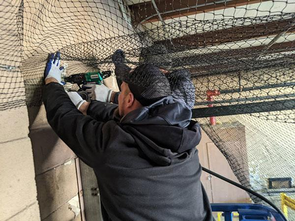 Technician fastening bird netting to structural beam